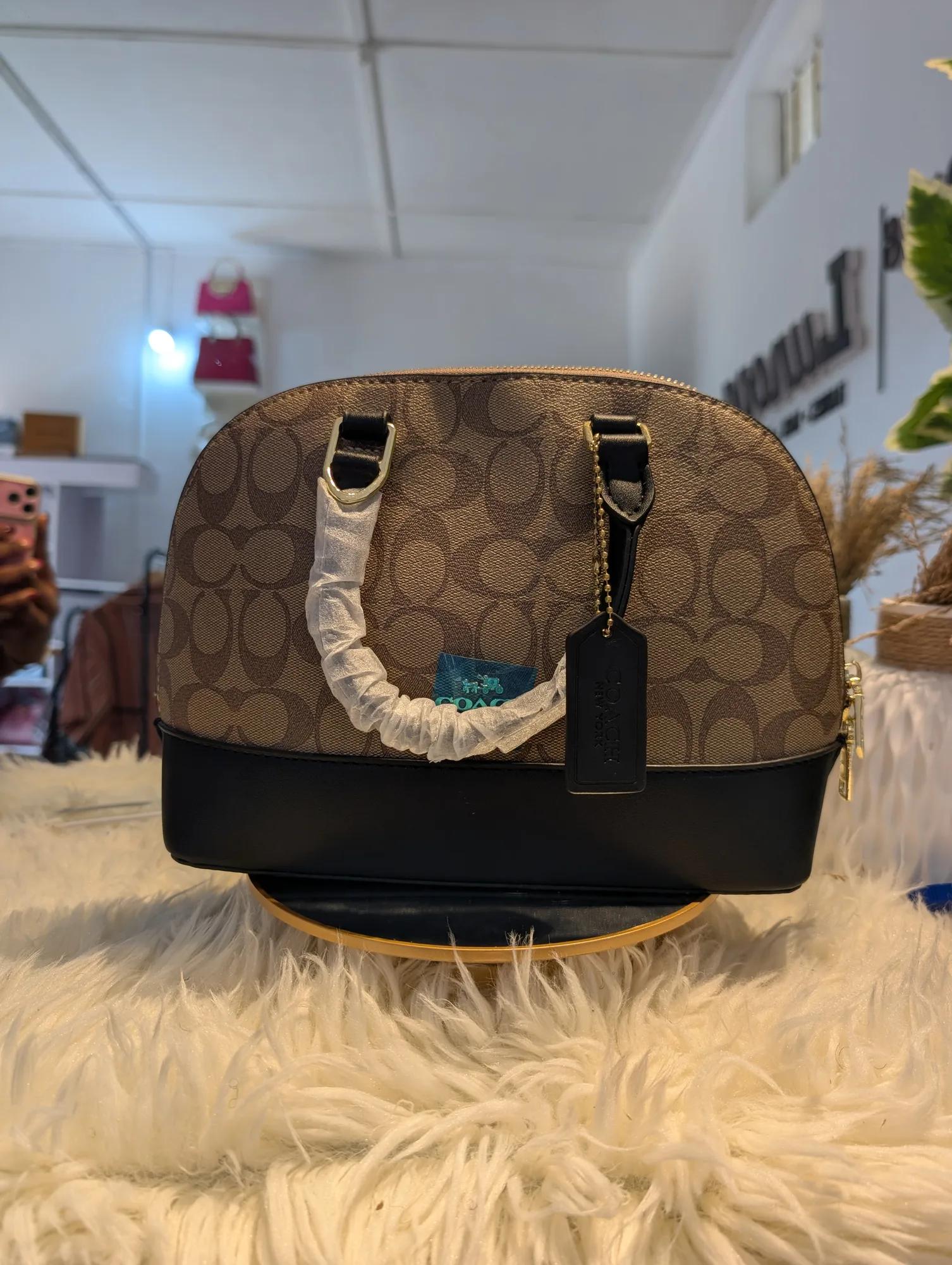 Lunova-coach-003/PXL_20260919_124224338.jpg